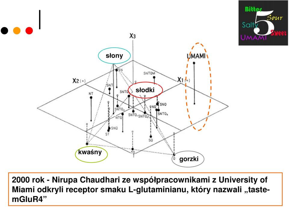 University of Miami odkryli receptor