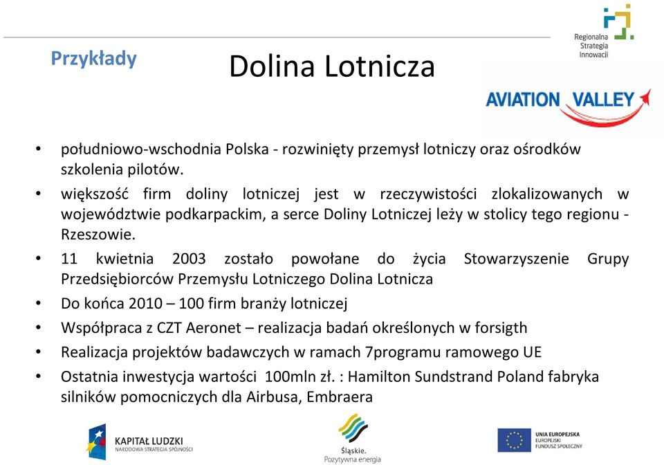 11 kwietnia 2003 zostało powołane do życia Stowarzyszenie Grupy Przedsiębiorców Przemysłu Lotniczego Dolina Lotnicza Do końca 2010 100 firm branży lotniczej Współpraca z