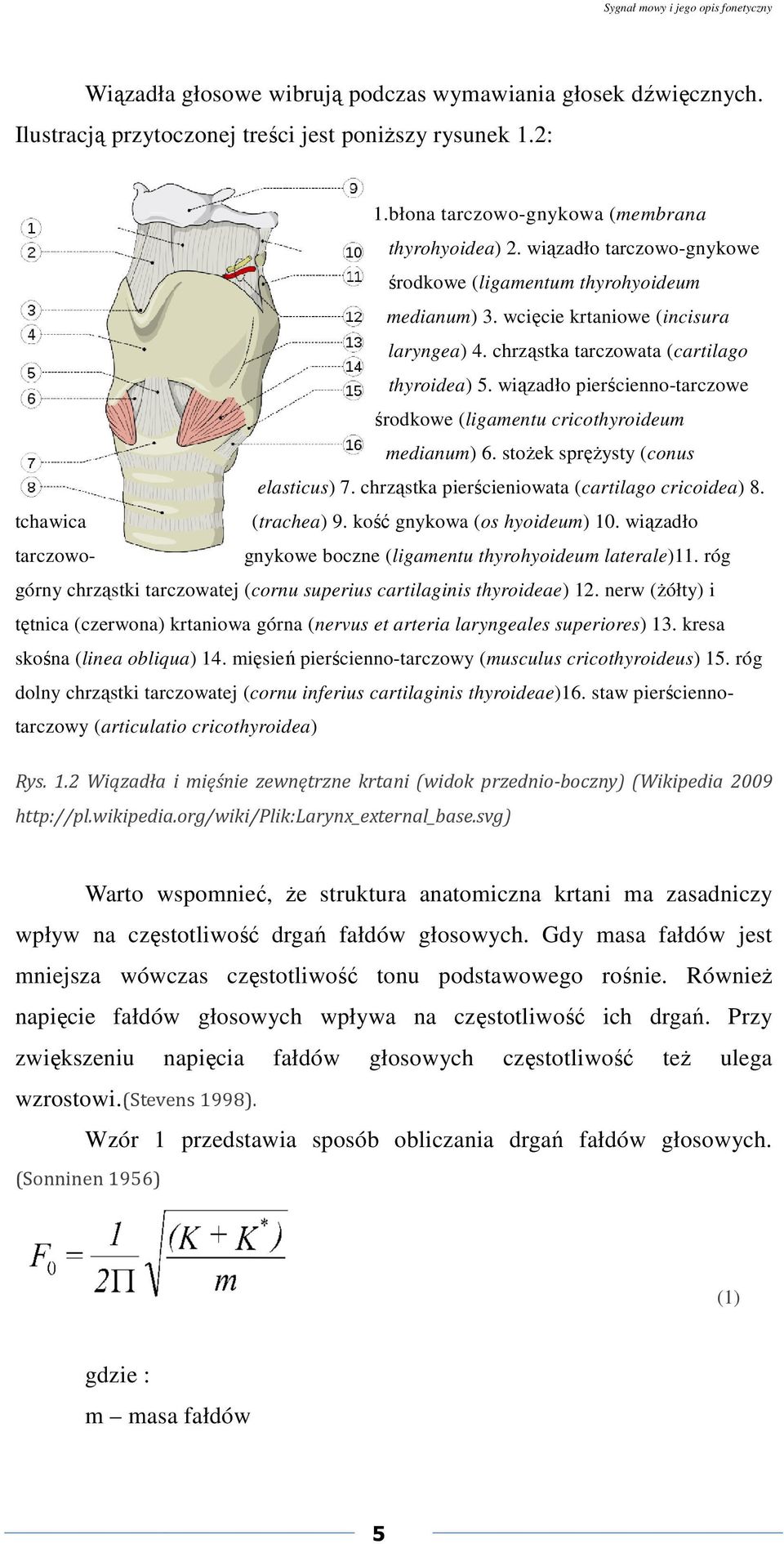 chrząstka tarczowata (cartilago thyroidea) 5. wiązadło pierścienno-tarczowe środkowe (ligamentu cricothyroideum medianum) 6. stożek sprężysty (conus elasticus) 7.