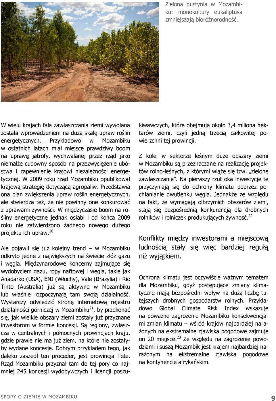 niezależności energetycznej. W 2009 roku rząd Mozambiku opublikował krajową strategię dotyczącą agropaliw.