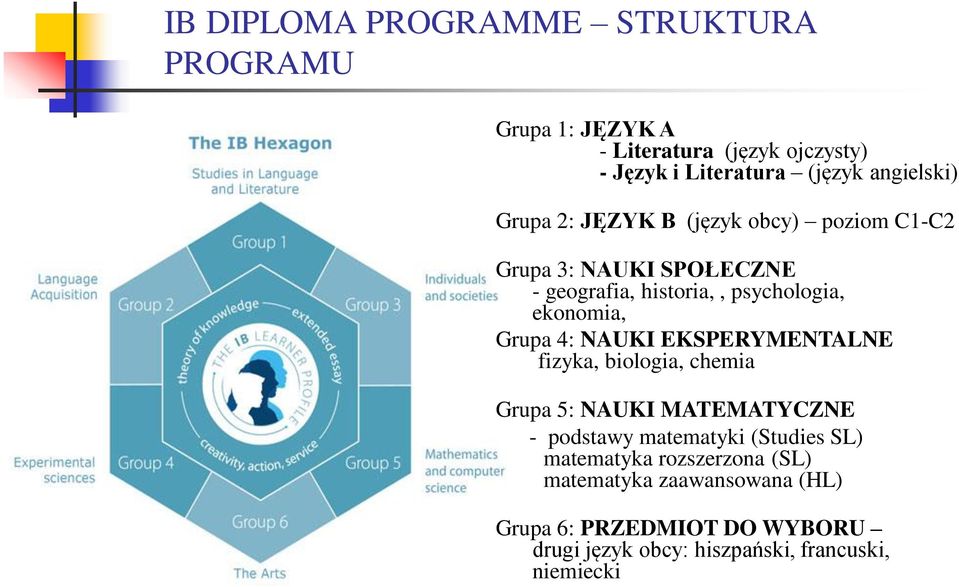 ekonomia, Grupa 4: NAUKI EKSPERYMENTALNE fizyka, biologia, chemia Grupa 5: NAUKI MATEMATYCZNE - podstawy matematyki