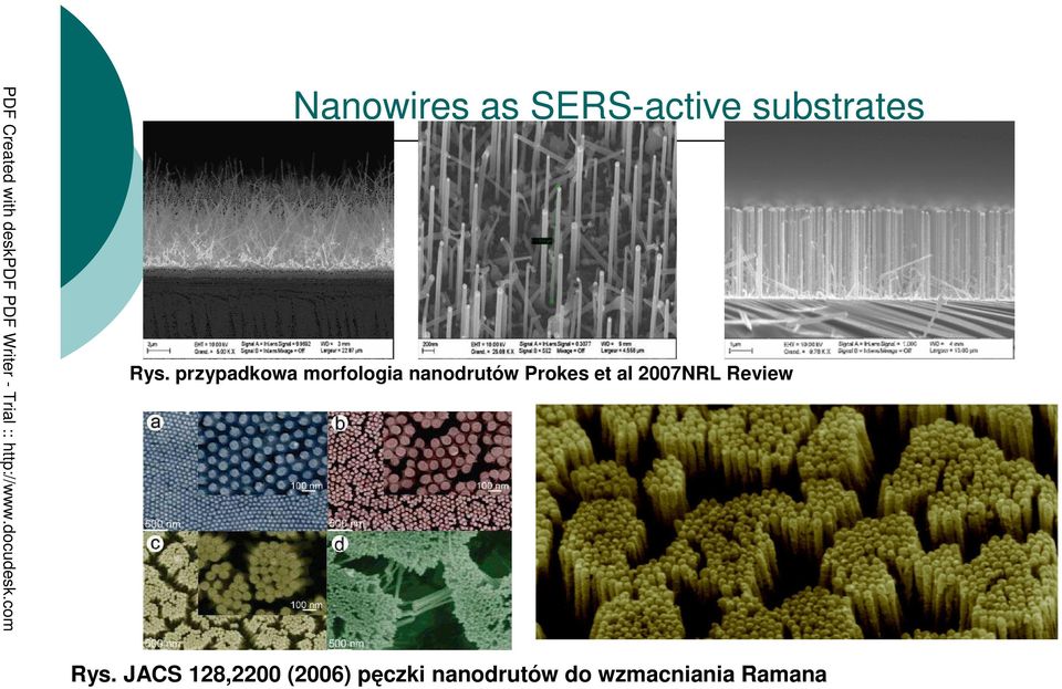 et al 2007NRL Review Rys.