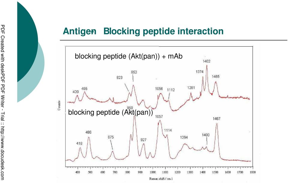 blocking peptide