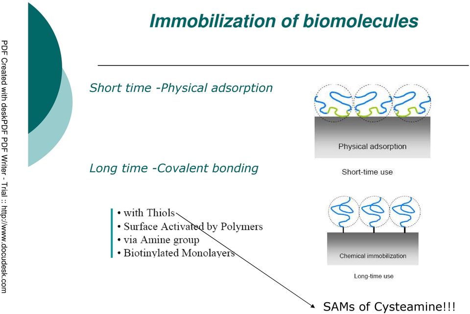 -Physical adsorption Long