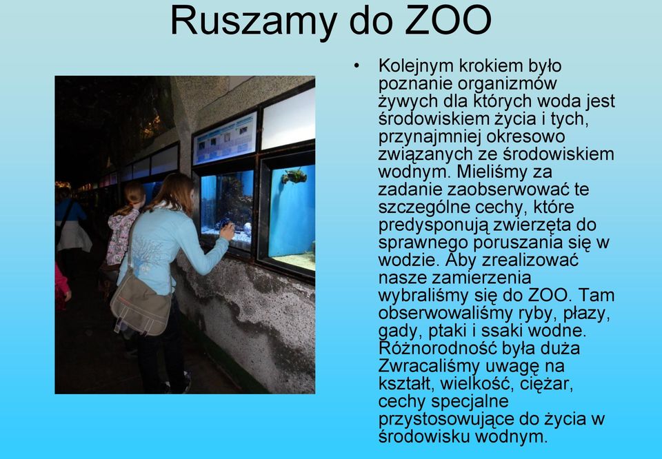 Mieliśmy za zadanie zaobserwować te szczególne cechy, które predysponują zwierzęta do sprawnego poruszania się w wodzie.