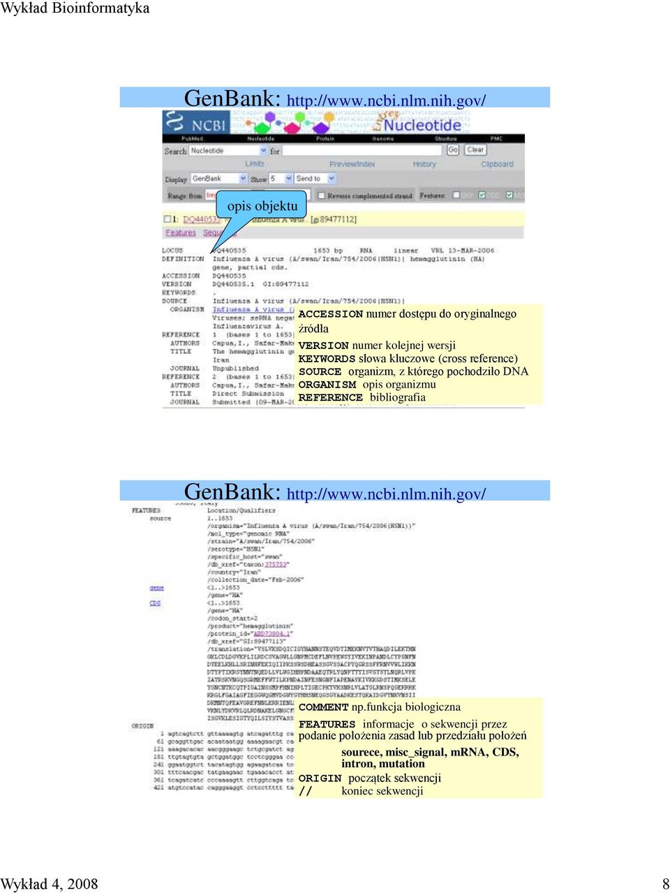 reference) SOURCE organizm, z którego pochodziło DNA ORGANISM opis organizmu REFERENCE bibliografia gov/ COMMENT np.
