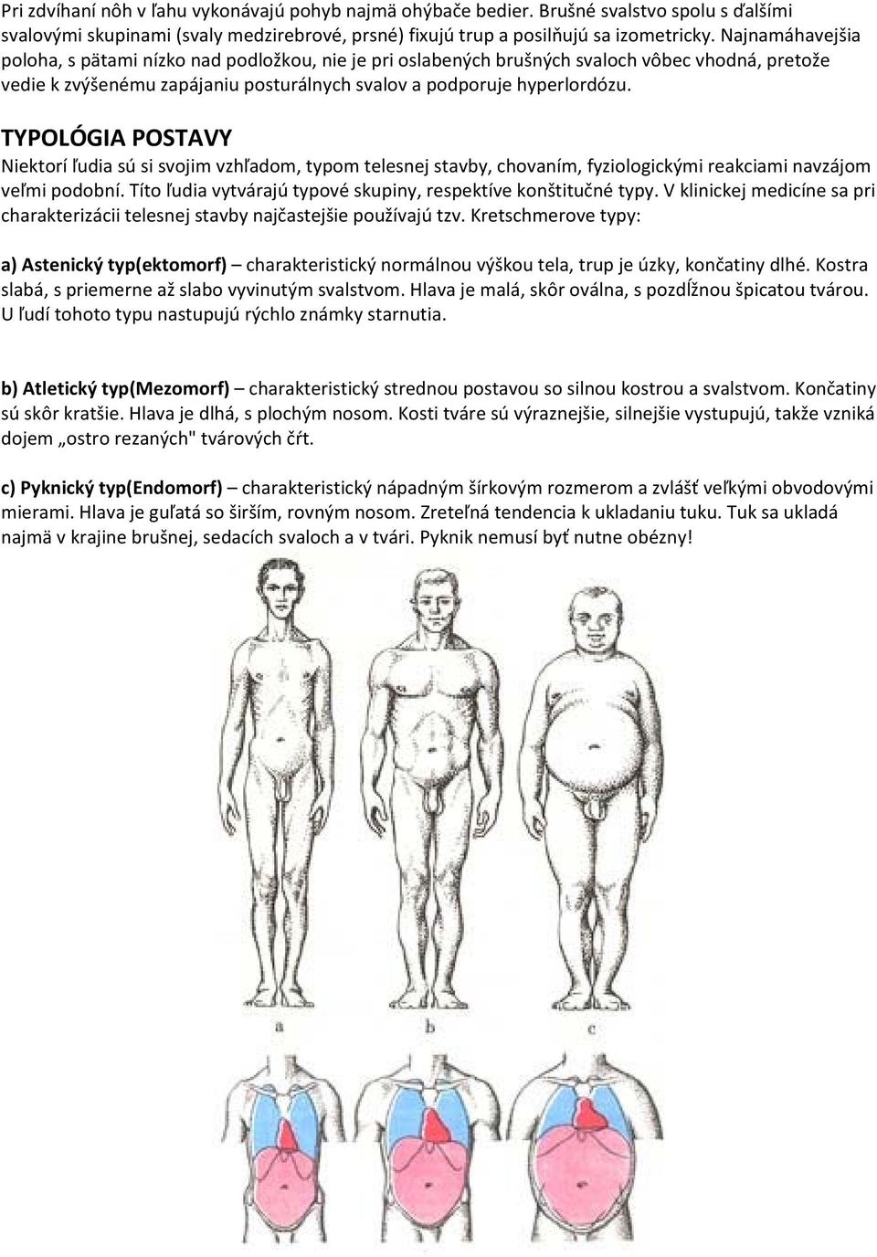 TYPOLÓGIA POSTAVY Niektorí ľudia sú si svojim vzhľadom, typom telesnej stavby, chovaním, fyziologickými reakciami navzájom veľmi podobní.