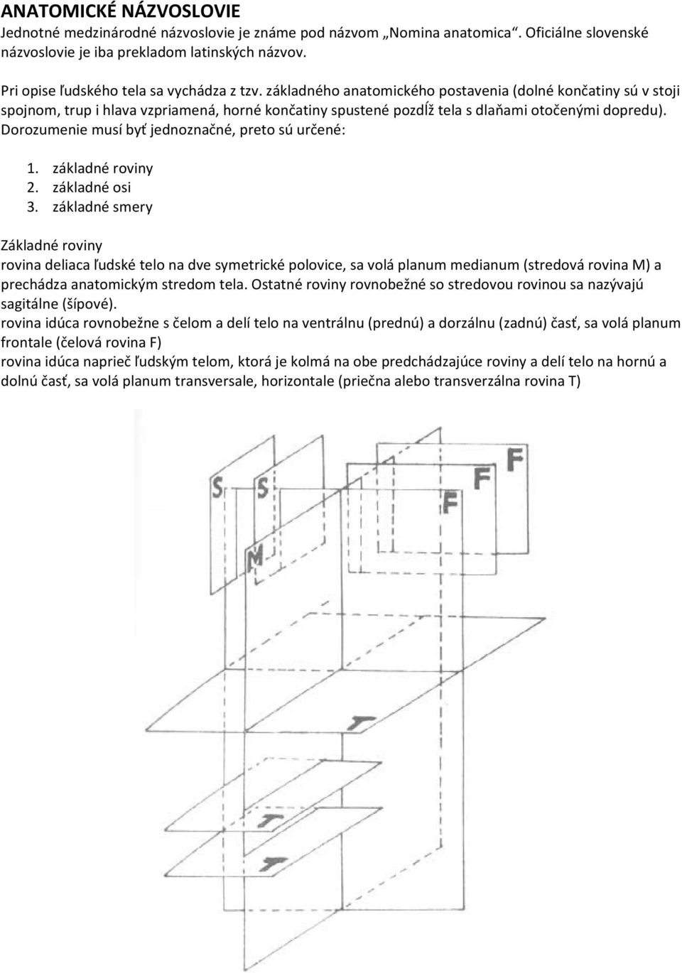 základného anatomického postavenia (dolné končatiny sú v stoji spojnom, trup i hlava vzpriamená, horné končatiny spustené pozdĺž tela s dlaňami otočenými dopredu).