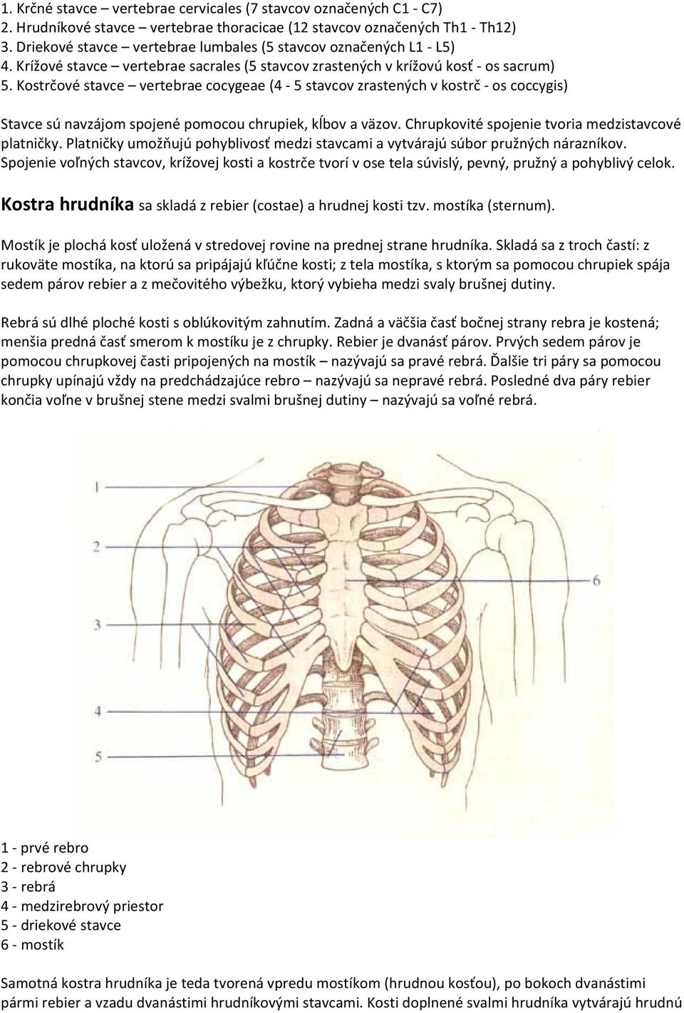 Kostrčové stavce vertebrae cocygeae (4 5 stavcov zrastených v kostrč os coccygis) Stavce sú navzájom spojené pomocou chrupiek, kĺbov a väzov. Chrupkovité spojenie tvoria medzistavcové platničky.