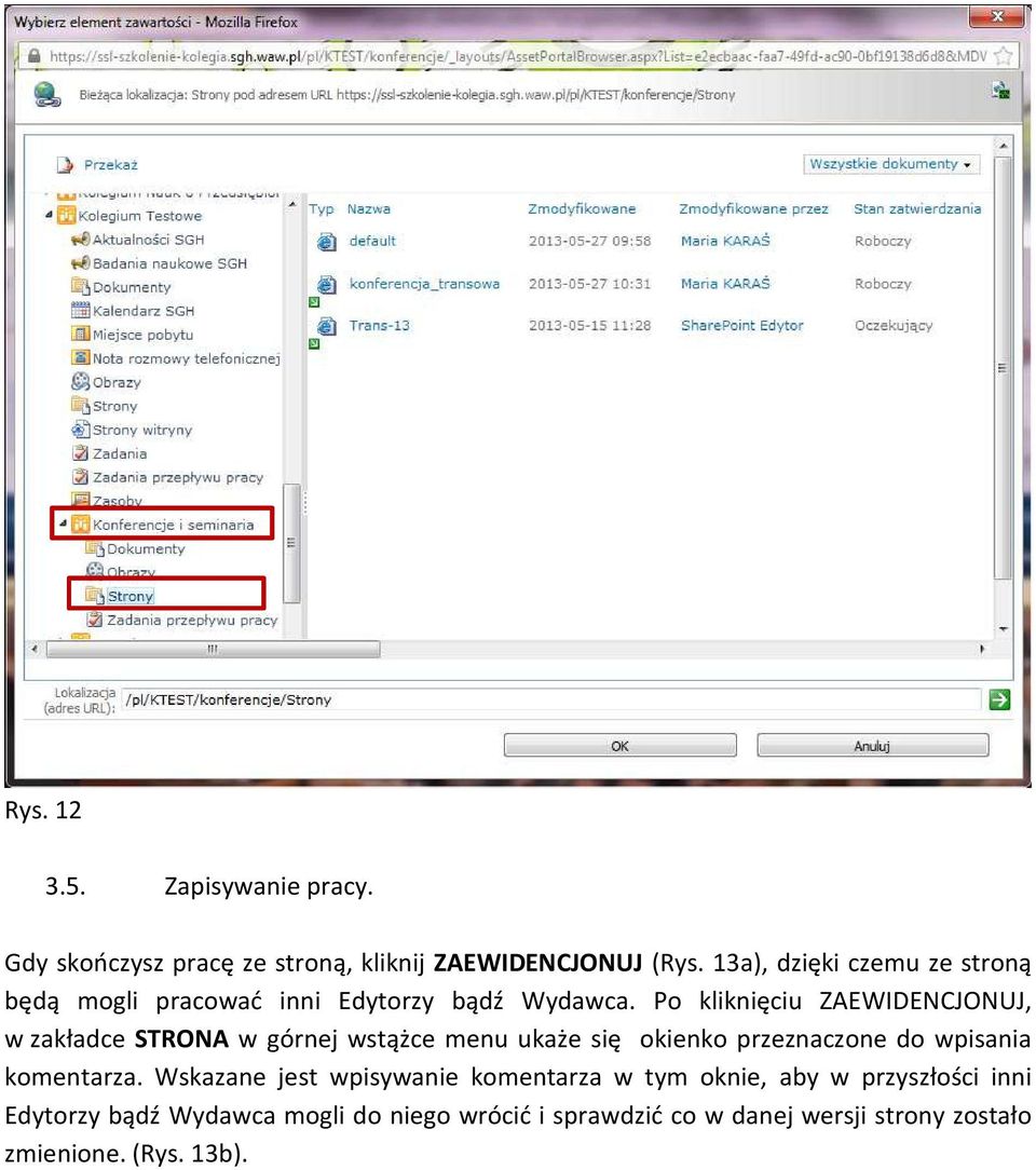 Po kliknięciu ZAEWIDENCJONUJ, w zakładce STRONA w górnej wstążce menu ukaże się okienko przeznaczone do wpisania