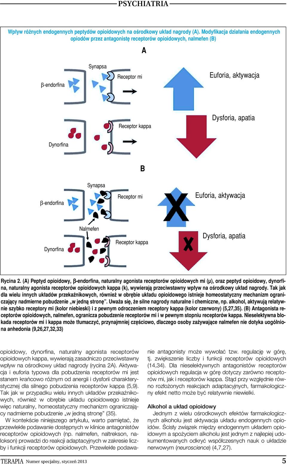 β-endorfina Synapsa Receptor mi Euforia, aktywacja Dynorfina Nalmefen Receptor kappa Dysforia, apatia Rycina 2.