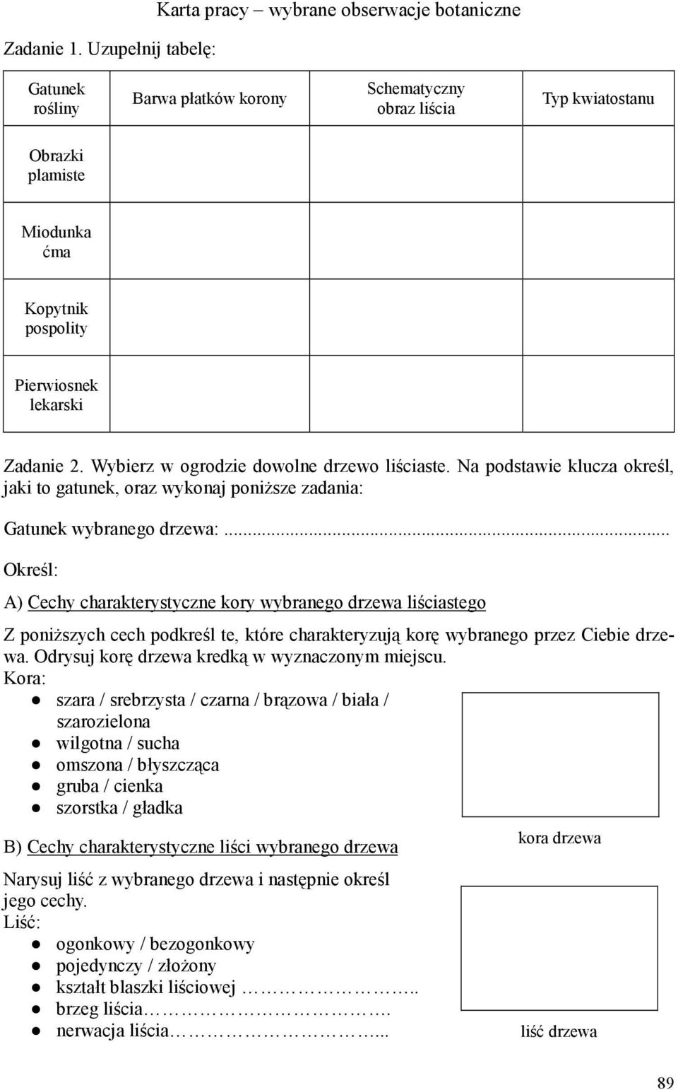 lekarski Zadanie 2. Wybierz w ogrodzie dowolne drzewo liściaste. Na podstawie klucza określ, jaki to gatunek, oraz wykonaj poniŝsze zadania: Gatunek wybranego drzewa:.