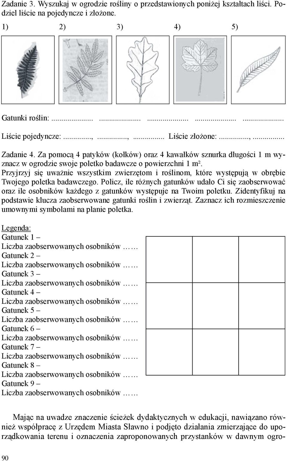 Przyjrzyj się uwaŝnie wszystkim zwierzętom i roślinom, które występują w obrębie Twojego poletka badawczego.