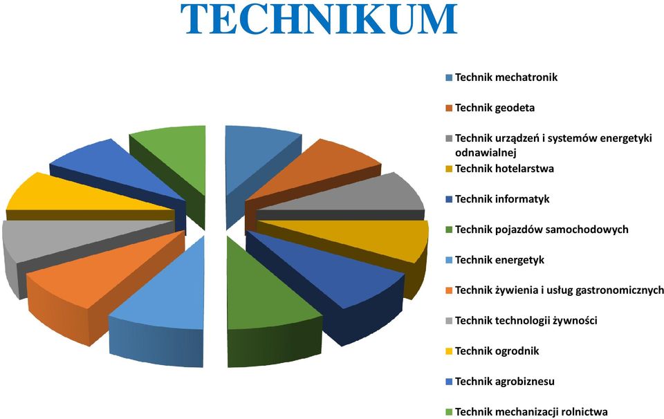 samochodowych Technik energetyk Technik żywienia i usług gastronomicznych