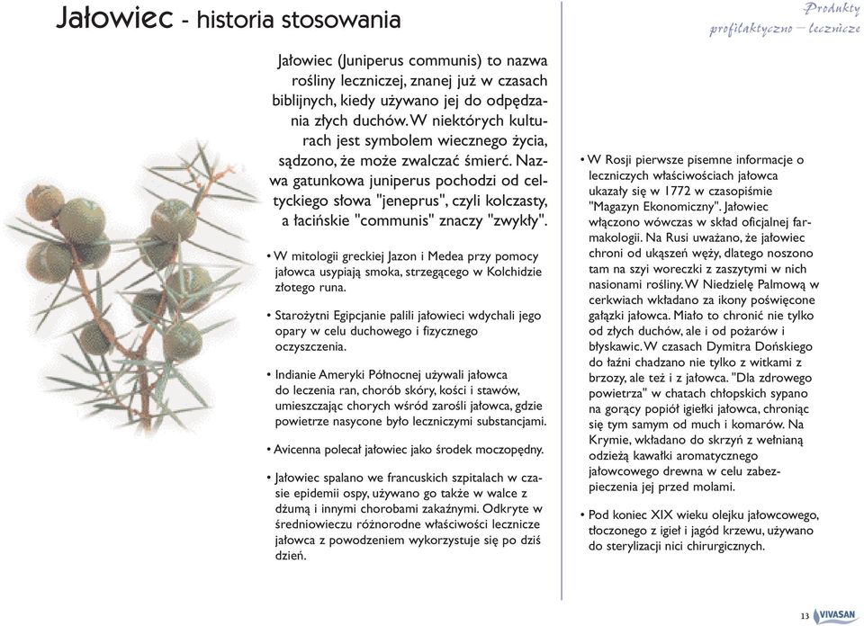 Nazwa gatunkowa juniperus pochodzi od celtyckiego s owa "jeneprus", czyli kolczasty, a aciƒskie "communis" znaczy "zwyk y".