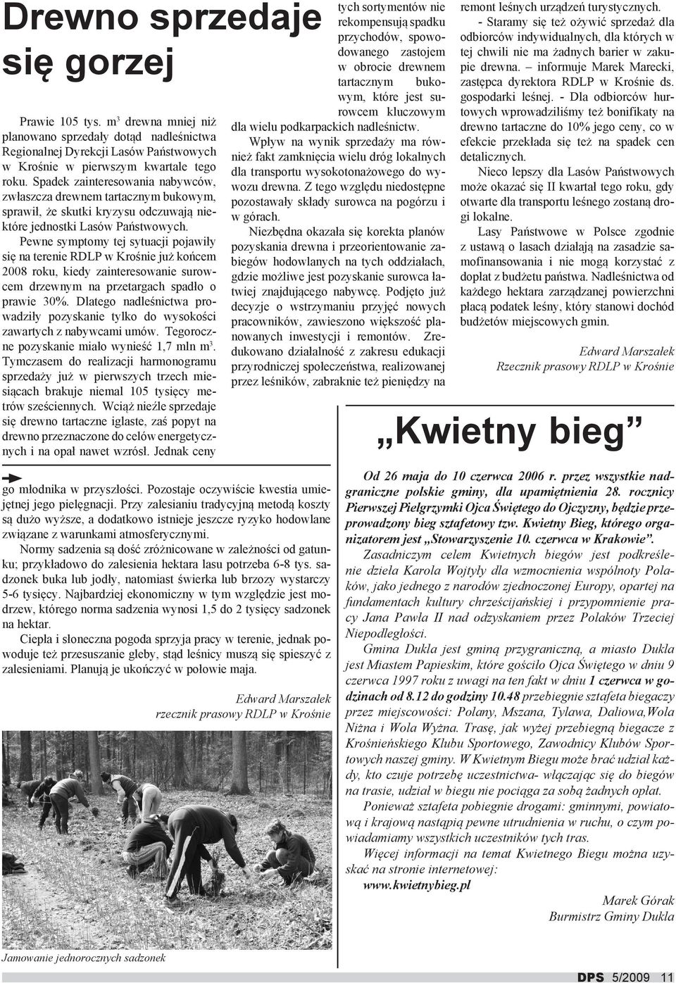 Pewne symptomy tej sytuacji pojawiły się na terenie RDLP w Krośnie już końcem 2008 roku, kiedy zainteresowanie surowcem drzewnym na przetargach spadło o prawie 30%.