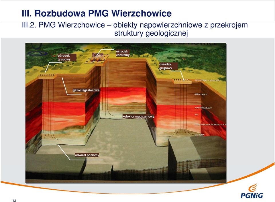 struktury geologicznej ośrodek grupowy ośrodek