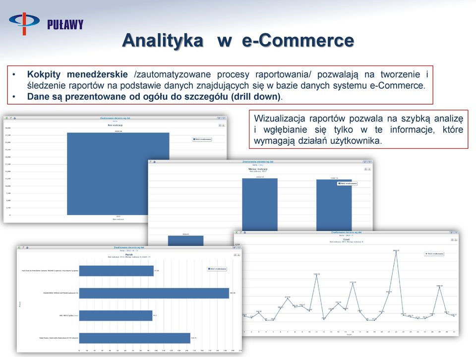 e-commerce. Dane są prezentowane od ogółu do szczegółu (drill down).