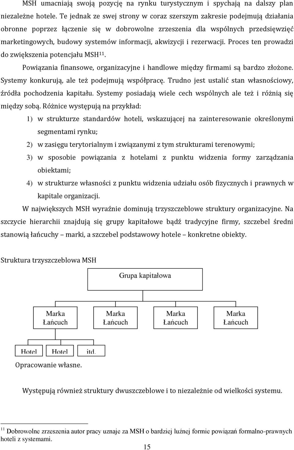 akwizycji i rezerwacji. Proces ten prowadzi do zwiększenia potencjału MSH 11. Powiązania finansowe, organizacyjne i handlowe między firmami są bardzo złożone.