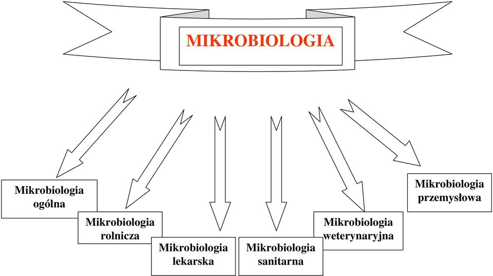 rolnicza Mikrobiologia lekarska