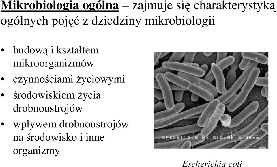 mikroorganizmów czynnościami Ŝyciowymi środowiskiem Ŝycia