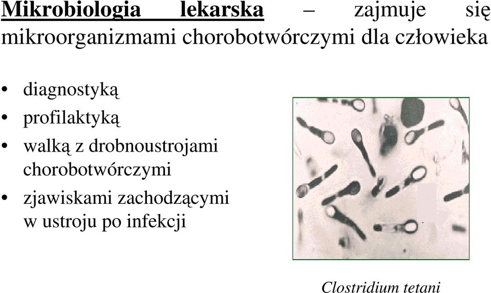 profilaktyką walką z drobnoustrojami chorobotwórczymi