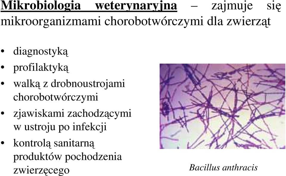 drobnoustrojami chorobotwórczymi zjawiskami zachodzącymi w ustroju