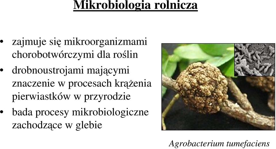 znaczenie w procesach krąŝenia pierwiastków w przyrodzie