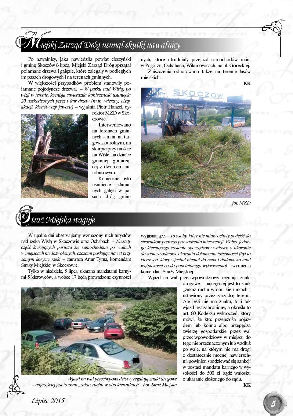 W parku nad Wisłą, po wizji w terenie, komisja stwierdziła konieczność usunięcia 20 uszkodzonych przez wiatr drzew (m.in.