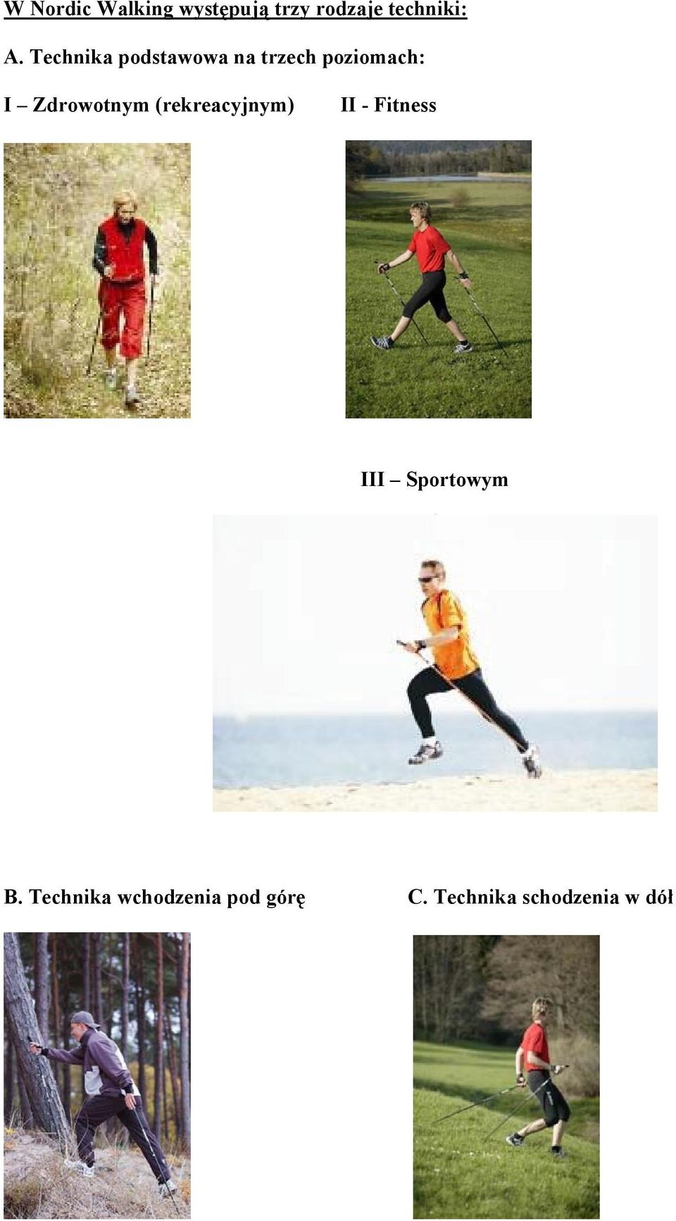 Zdrowotnym (rekreacyjnym) II - Fitness III Sportowym