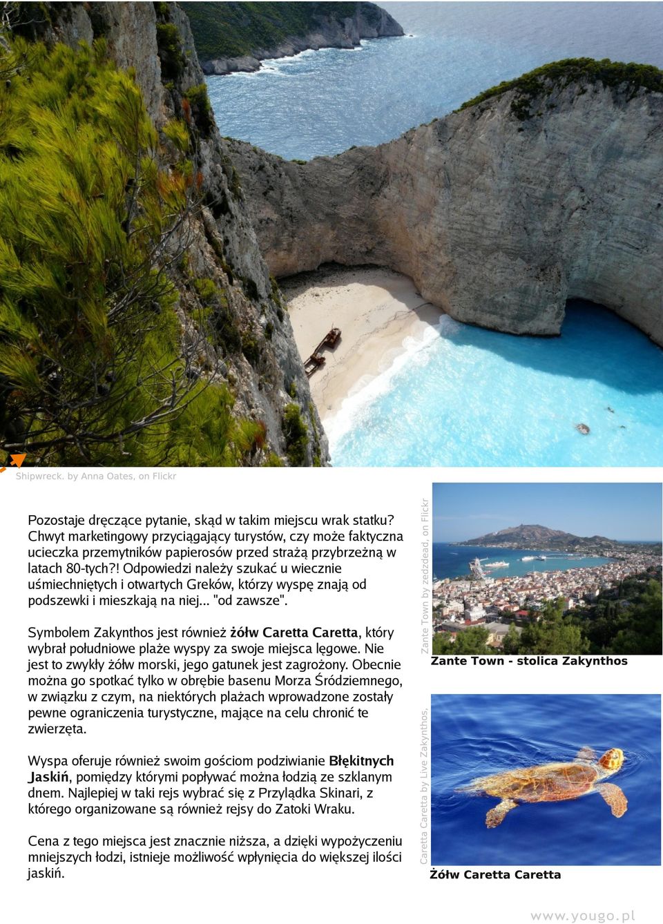 Symbolem Zakynthos jest również żółw Caretta Caretta, który wybrał południowe plaże wyspy za swoje miejsca lęgowe. Nie jest to zwykły żółw morski, jego gatunek jest zagrożony.