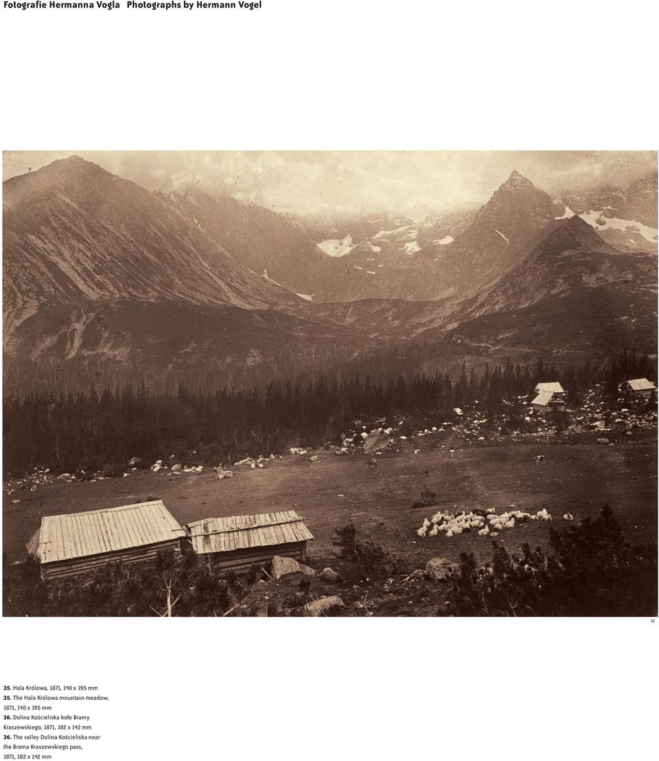 The Hala Królowa mountain meadow, 1871, 140 x 195 mm 36.