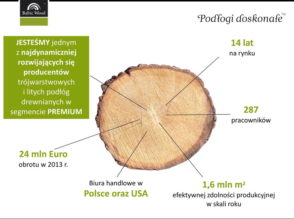 lat na rynku 287 pracowników 24 mln Euro obrotu w 2013 r.