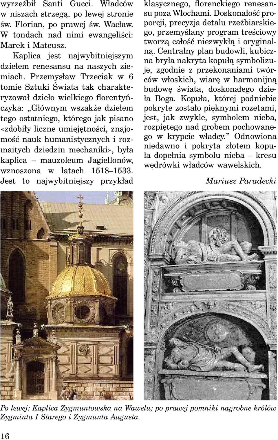 Przemysław Trzeciak w 6 tomie Sztuki Świata tak charakteryzował dzieło wielkiego florentyńczyka: Głównym wszakże dziełem tego ostatniego, którego jak pisano «zdobiły liczne umiejętności, znajomość