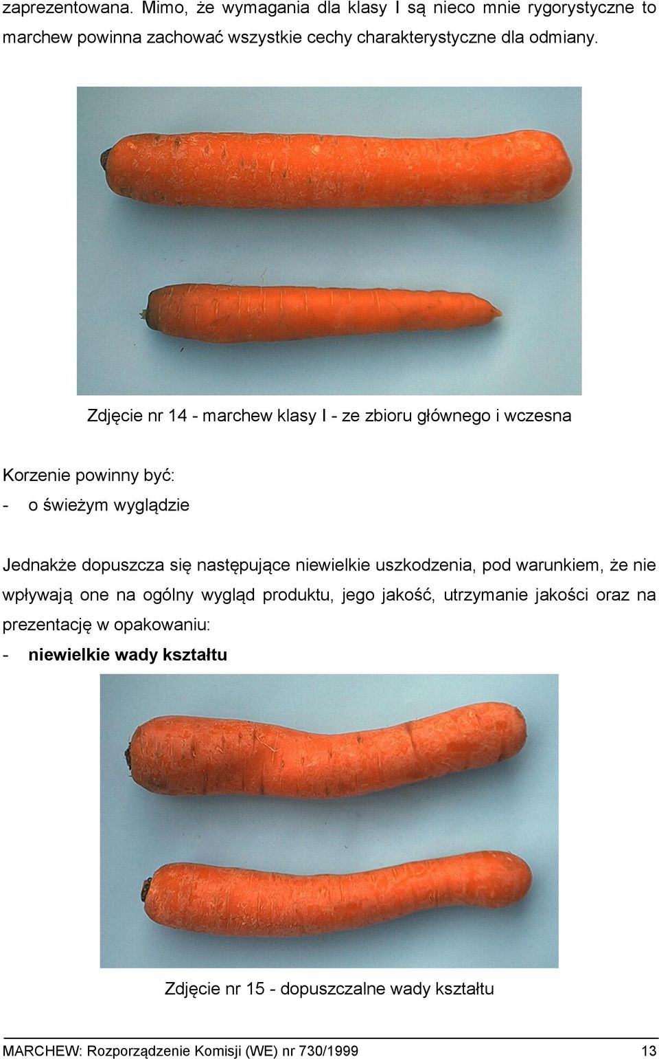 Zdjęcie nr 14 - marchew klasy I - ze zbioru głównego i wczesna Korzenie powinny być: - o świeżym wyglądzie Jednakże dopuszcza się następujące