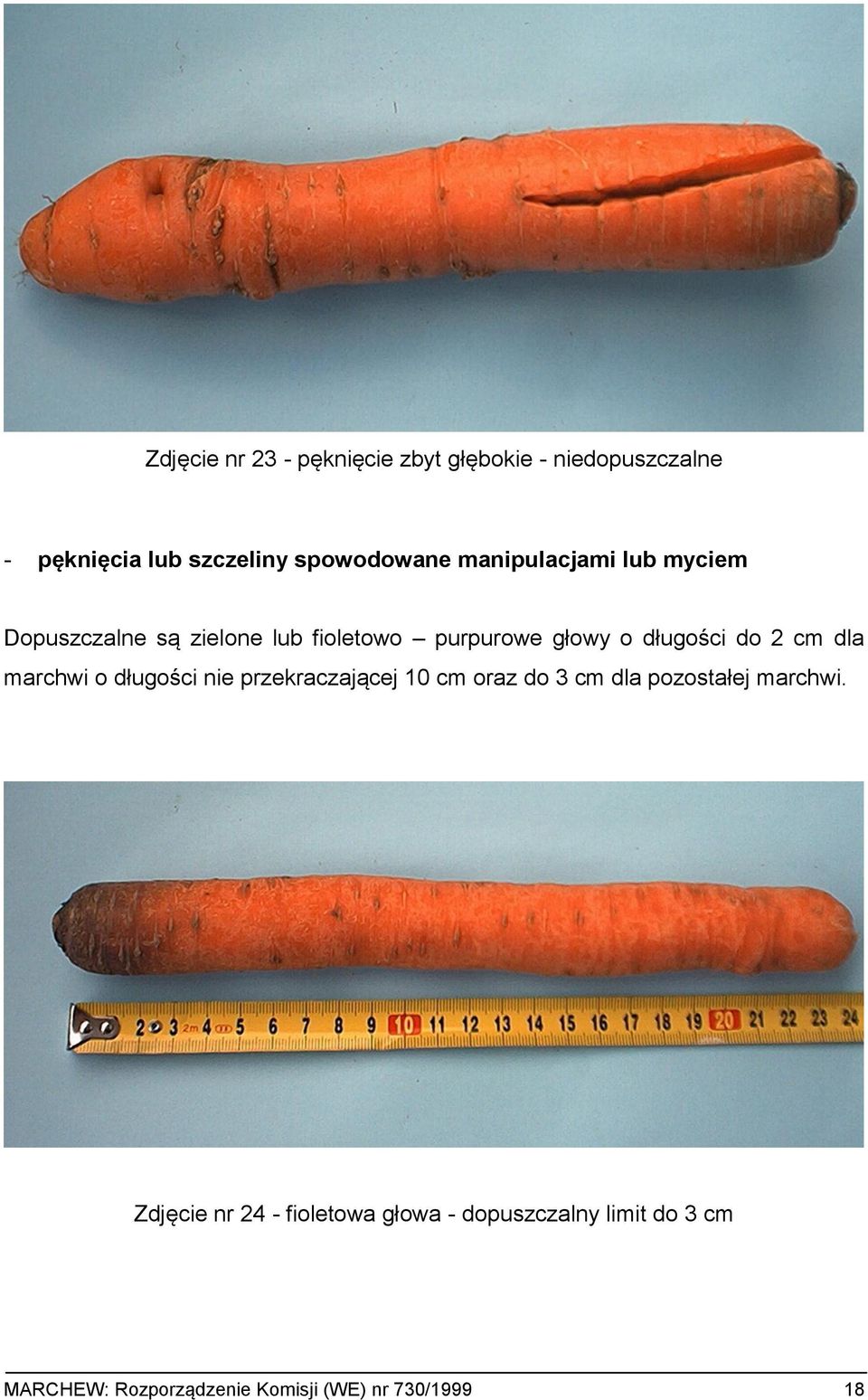 dla marchwi o długości nie przekraczającej 10 cm oraz do 3 cm dla pozostałej marchwi.