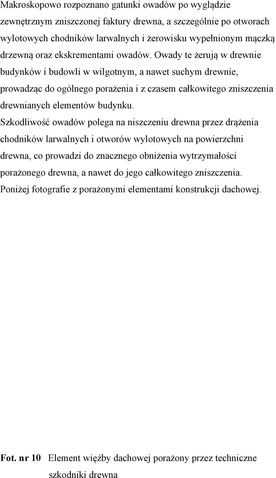 Owady te żerują w drewnie budynków i budowli w wilgotnym, a nawet suchym drewnie, prowadząc do ogólnego porażenia i z czasem całkowitego zniszczenia drewnianych elementów budynku.