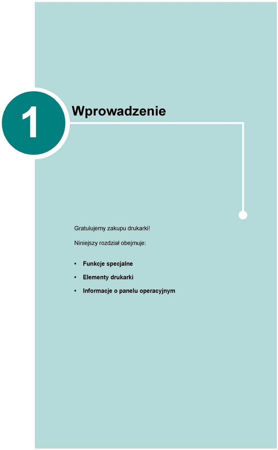 Niniejszy rozdział obejmuje: