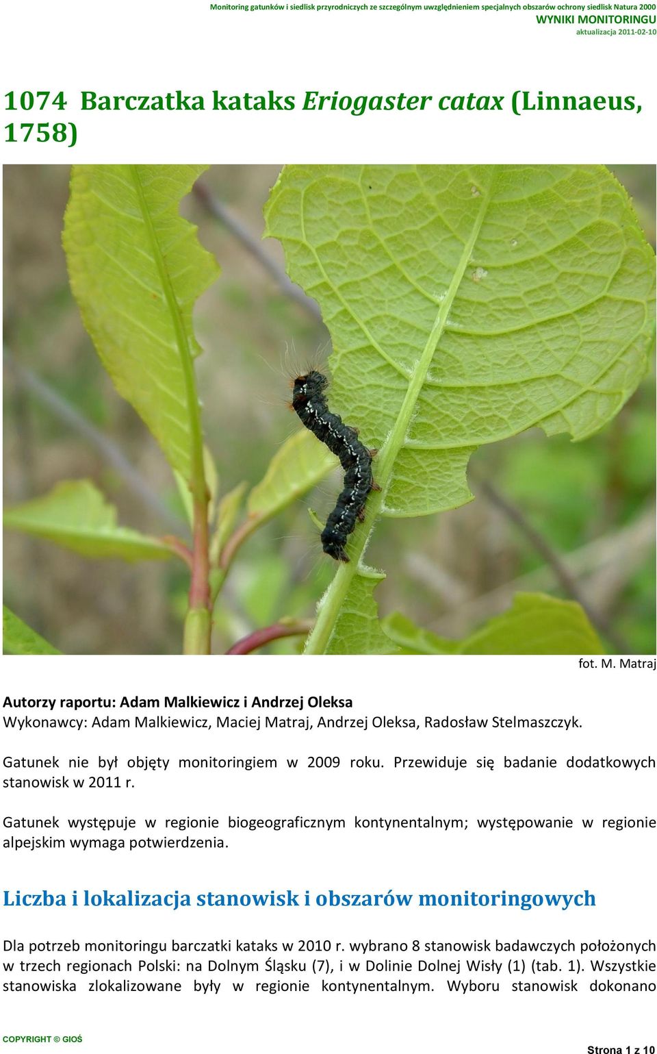 Gatunek występuje w regionie biogeograficznym kontynentalnym; występowanie w regionie alpejskim wymaga potwierdzenia.