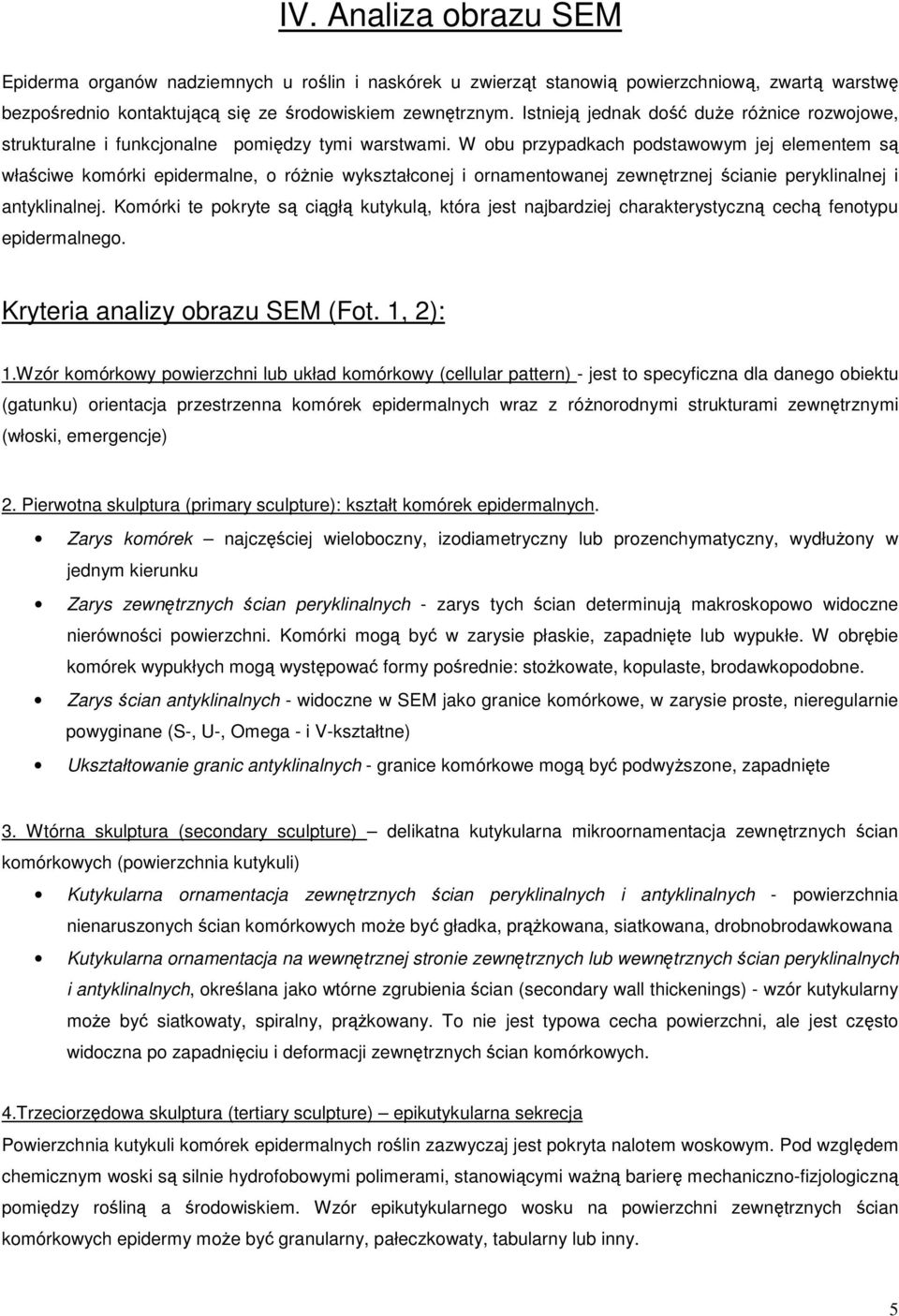 W obu przypadkach podstawowym jej elementem są właściwe komórki epidermalne, o różnie wykształconej i ornamentowanej zewnętrznej ścianie peryklinalnej i antyklinalnej.