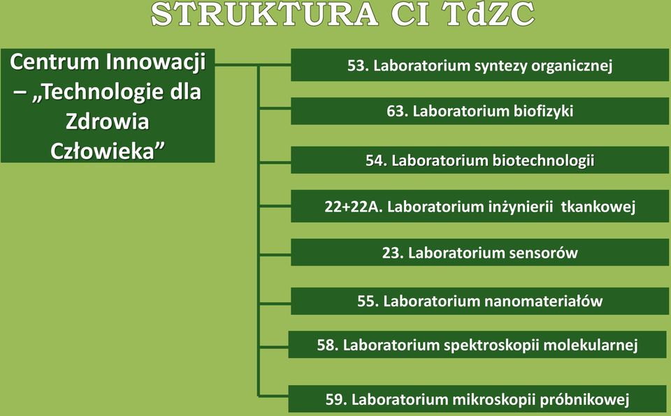 Laboratorium biotechnologii 22+22A. Laboratorium inżynierii tkankowej 23.
