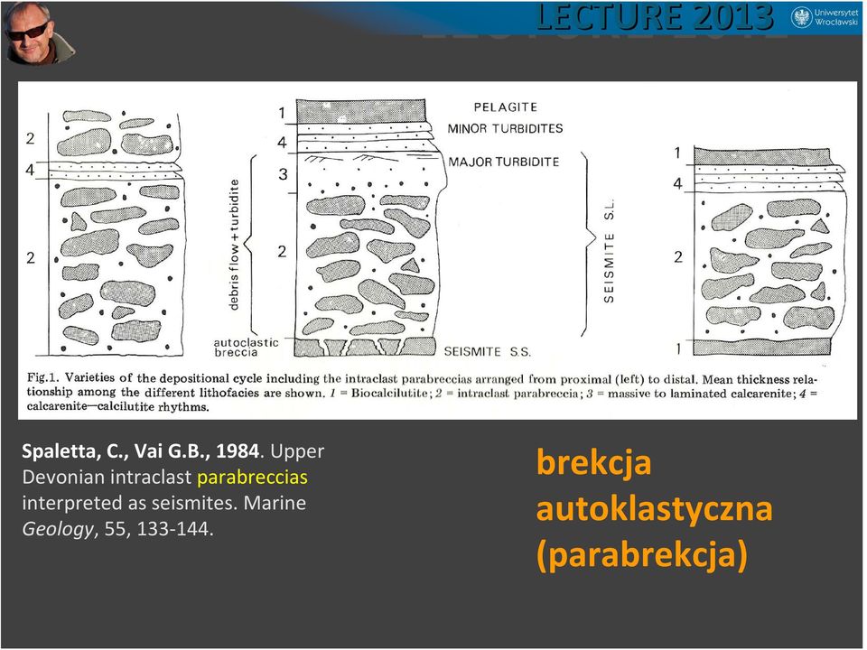 interpreted as seismites.