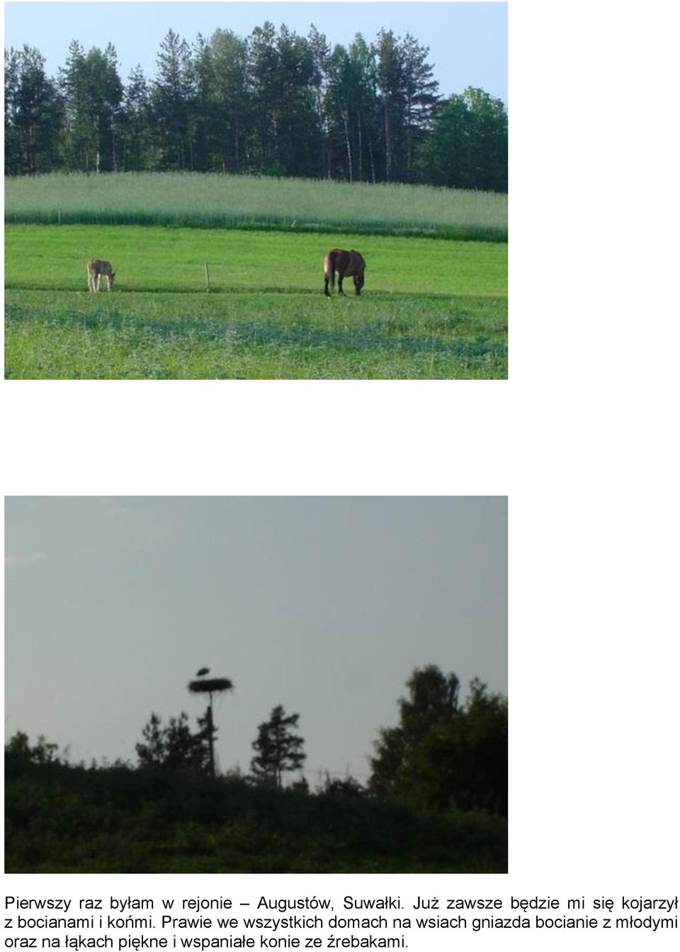 Prawie we wszystkich domach na wsiach gniazda bocianie