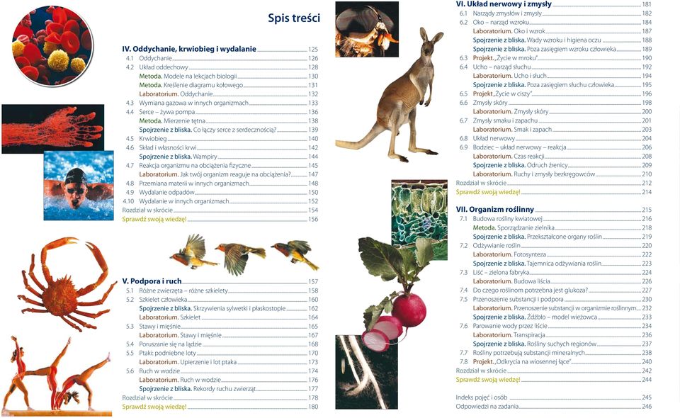 .. 140 6 Skład i własności krwi... 142 Spojrzenie z bliska. Wampiry... 144 7 Reakcja organizmu na obciążenia fizyczne... 145 Laboratorium. Jak twój organizm reaguje na obciążenia?