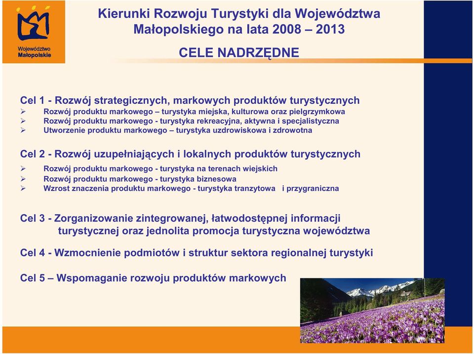 cych i lokalnych produktów turystycznych Rozwój produktu markowego - turystyka na terenach wiejskich Rozwój produktu markowego - turystyka biznesowa Wzrost znaczenia produktu markowego - turystyka