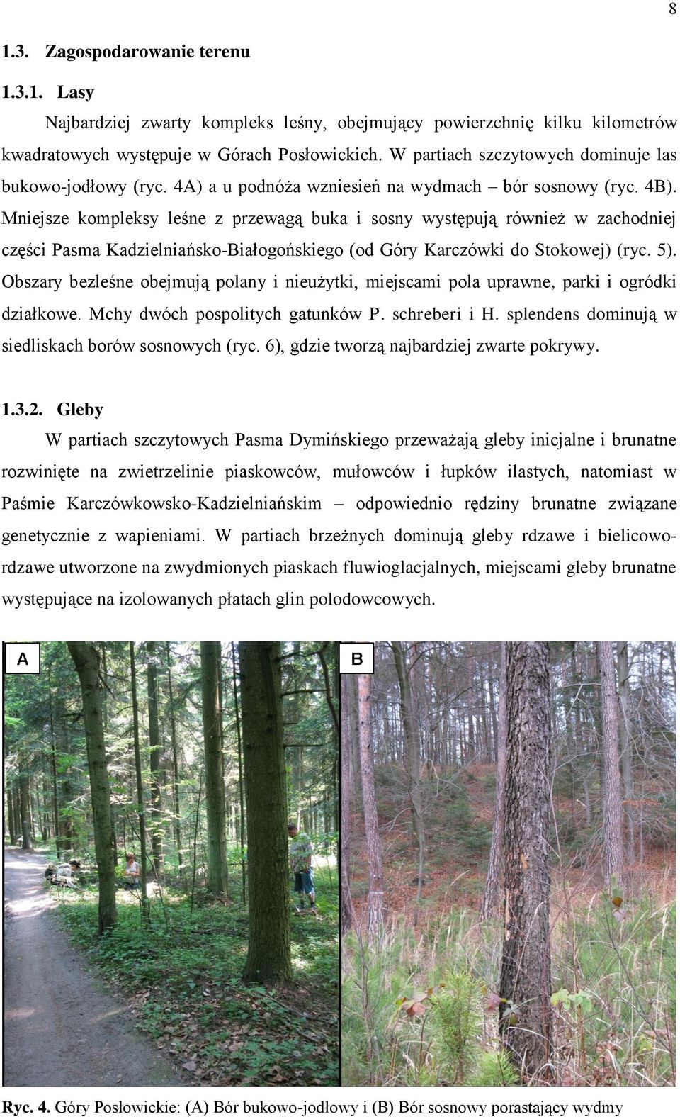 Mniejsze kompleksy leśne z przewagą buka i sosny występują również w zachodniej części Pasma Kadzielniańsko-Białogońskiego (od Góry Karczówki do Stokowej) (ryc. 5).