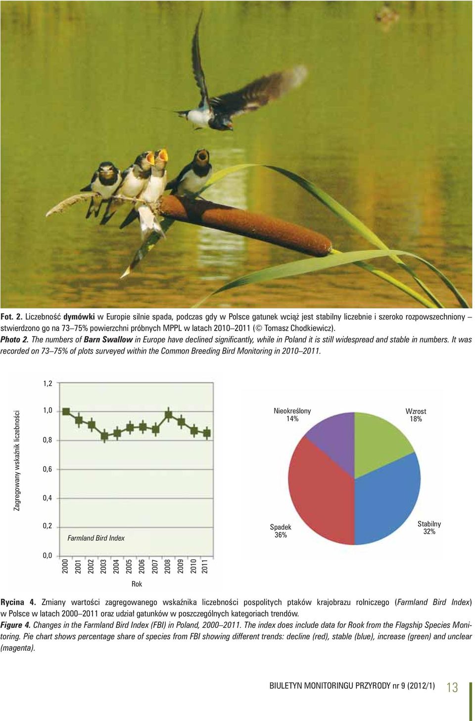 ( Tomasz Chodkiewicz). Photo 2. The numbers of Barn Swallow in Europe have declined significantly, while in Poland it is still widespread and stable in numbers.