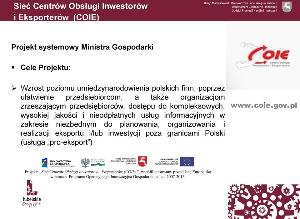 informacyjnych w zakresie niezbędnym do planowania, organizowania i realizacji eksportu i/lub inwestycji poza granicami Polski (usługa pro-eksport ) Projekt: