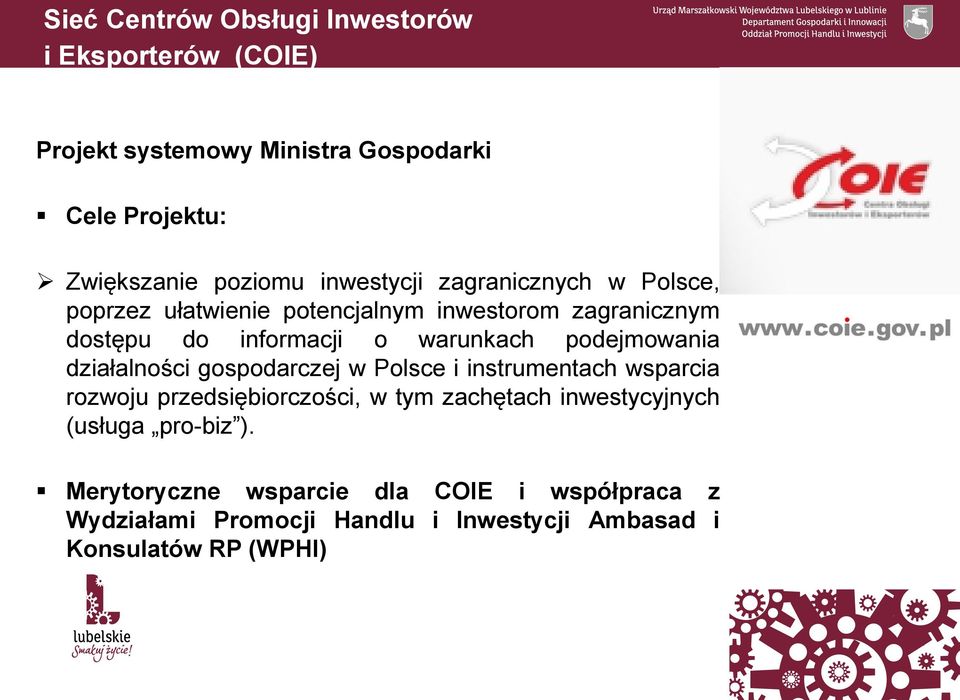 podejmowania działalności gospodarczej w Polsce i instrumentach wsparcia rozwoju przedsiębiorczości, w tym zachętach