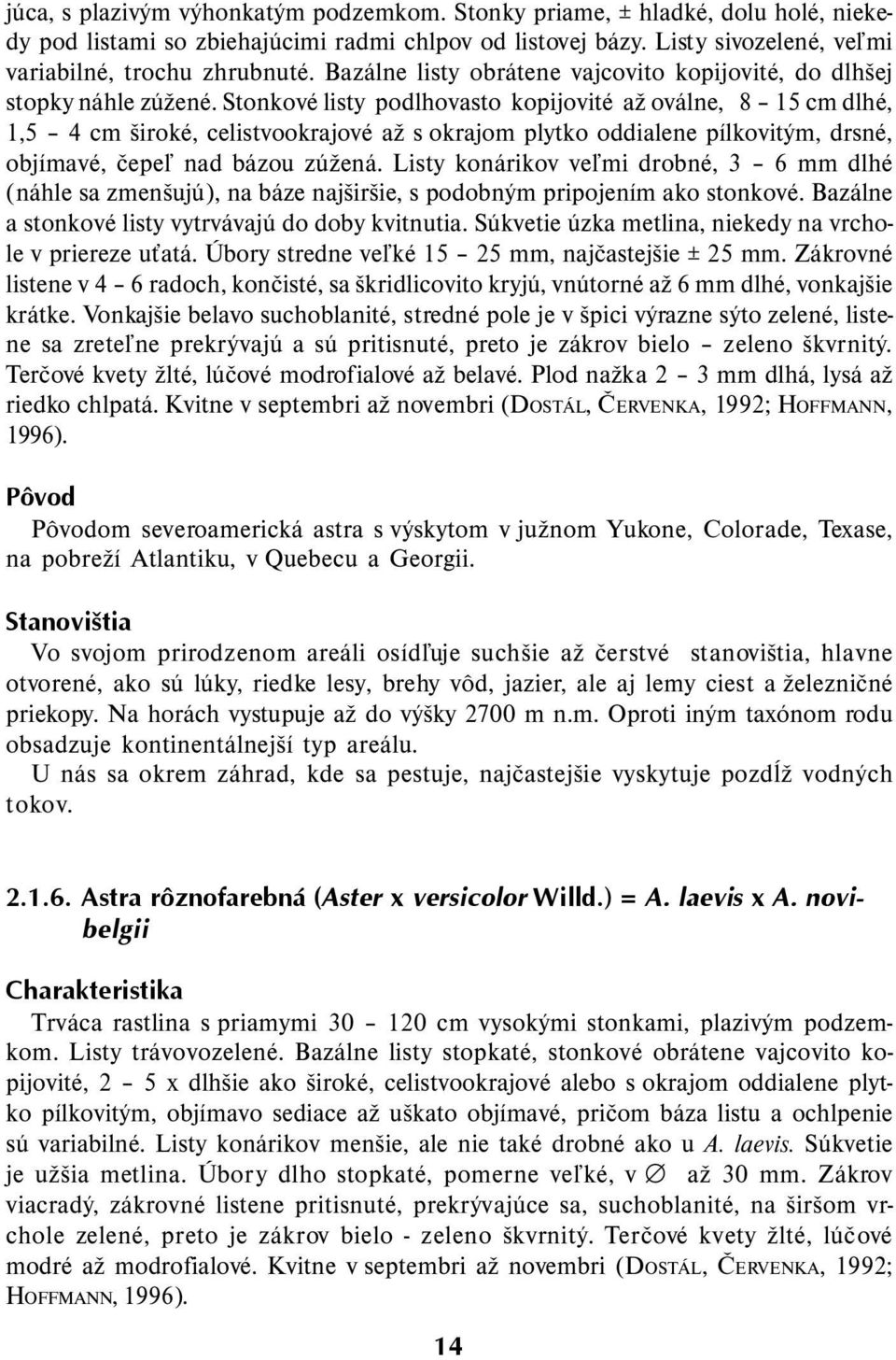 Stonkové listy podlhovasto kopijovité až oválne, 8 15 cm dlhé, 1,5 4 cm široké, celistvookrajové až s okrajom plytko oddialene pílkovitým, drsné, objímavé, čepeľ nad bázou zúžená.